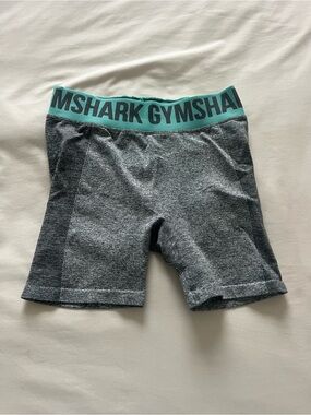 Gymshark Gray Bike Shorts with Teal Logo Waistband